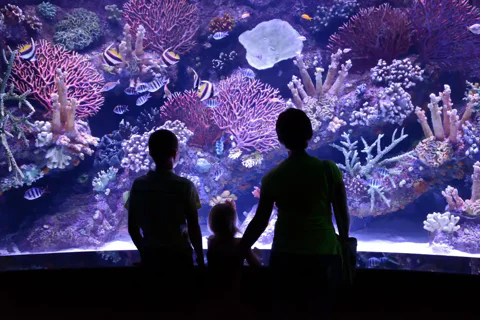 Antalya Aquarium