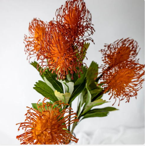 Burnt Orange Leucospermum - Realistic Artificial Flowers - Image 2