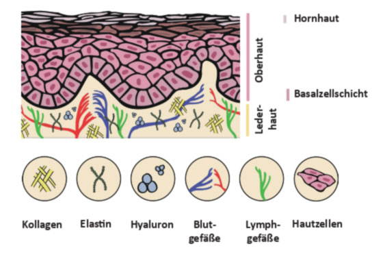 Dermapen Derma pen kaufen Behandlung anwendung