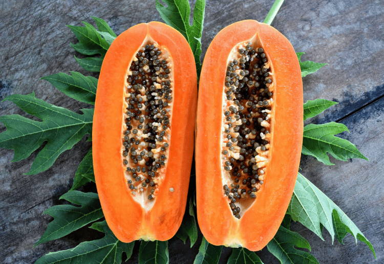 パパイヤとは