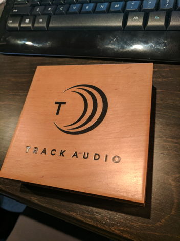 Track Audio M8 Speaker spikes stainless