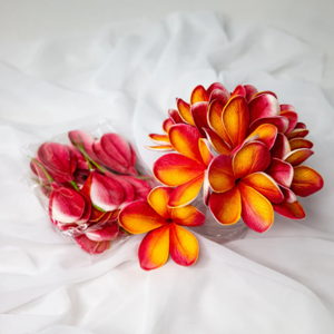Tropical Frangipani Flowerhead ( 6 Pack ) - Realistic Artificial Flowers
