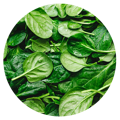 Nutrient-Packed Vegetable, Spinach: Complementing Your Best Hair Skin Supplements Regimen
