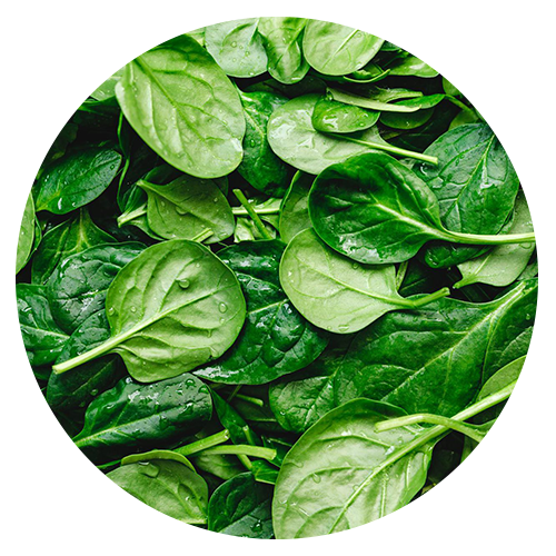Nutrient-Packed Vegetable, Spinach: Complementing Your Best Hair Skin Supplements Regimen
