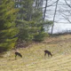 Frozen toes in Maine make a welcome change from California's rains