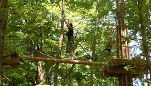 die freizeitmacher baumstamm hindernis