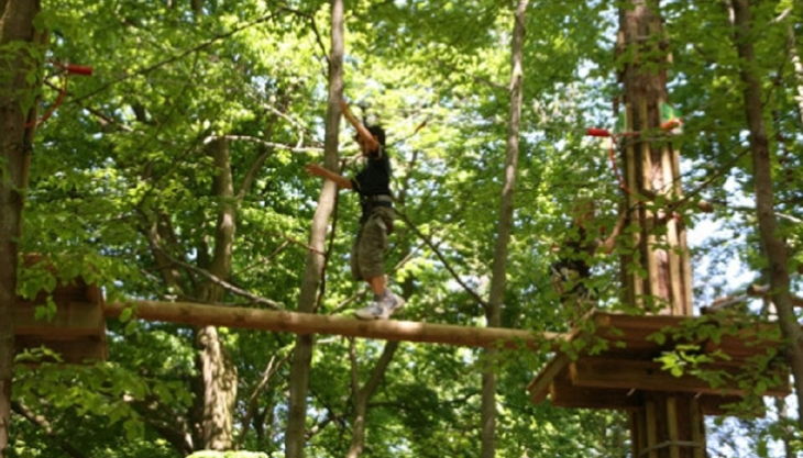 die freizeitmacher baumstamm hindernis