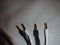 Analysis Plus Inc. SILVER OVAL II SPEAKER CABLES PRICE ... 2