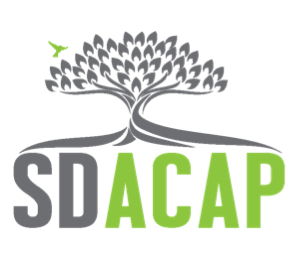 San Diego Academy of Child and Adolescent Psychiatry