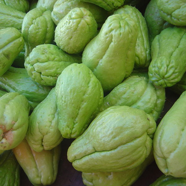 chayote