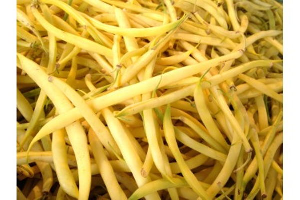 haricot-jaune-beurre