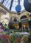 Las Vegas Bellagio Conservatory & Botanical Gardens submitted by Vtime230 on 5/8/2022