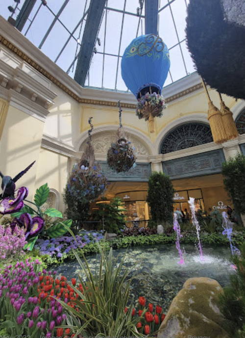 Bellagio Conservatory & Botanical Gardens submitted by Vtime230 on 5/8/2022