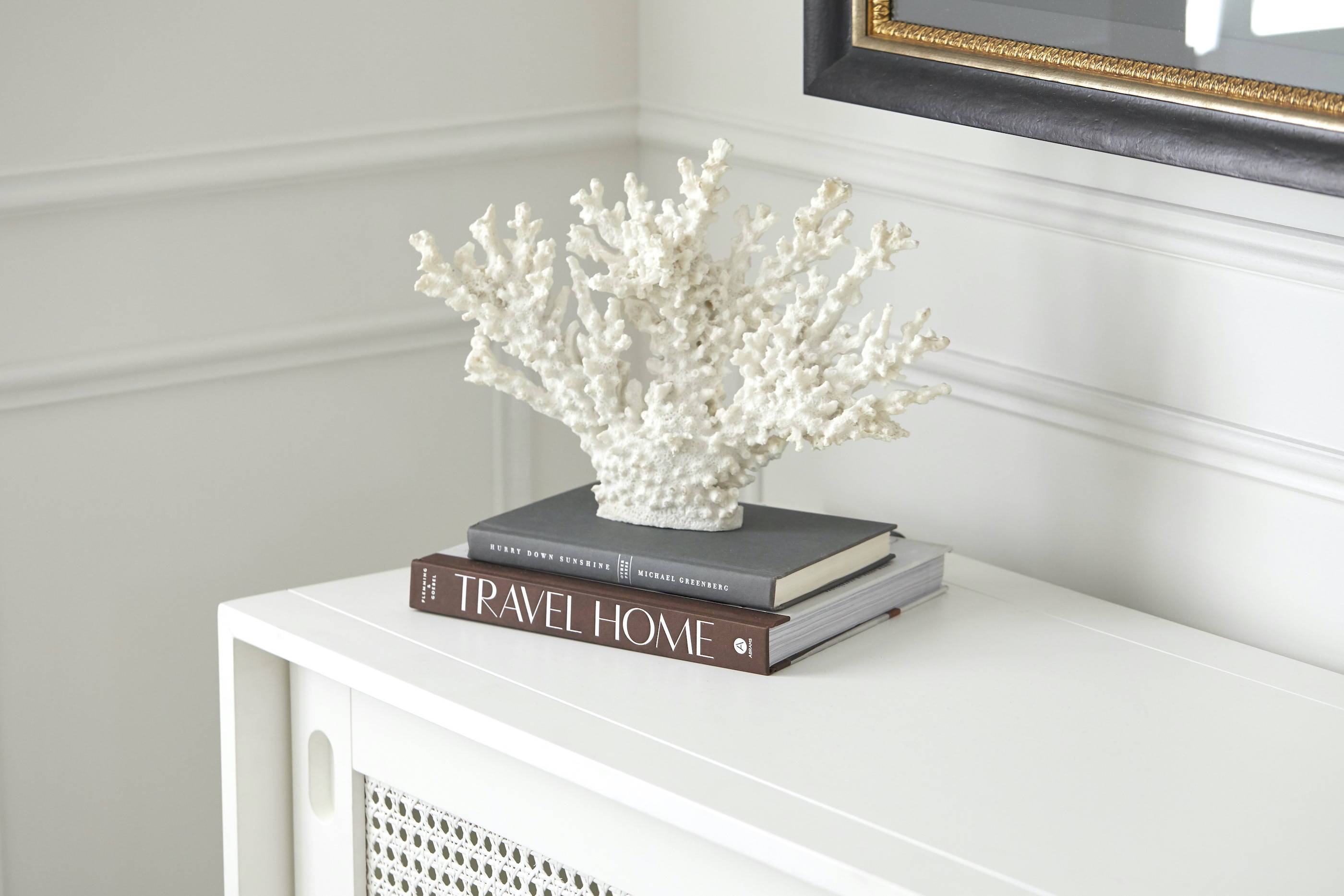 A close up detail image of the frame design of a TV-Mirror. A piece of coral sits on top of some decorative books.