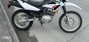 2023 HONDA XR150L motorcycle for rent near Eustis, ME