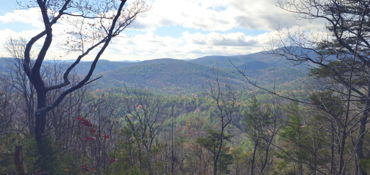 North Georgia Adventure Riding Experience near Cumming, GA