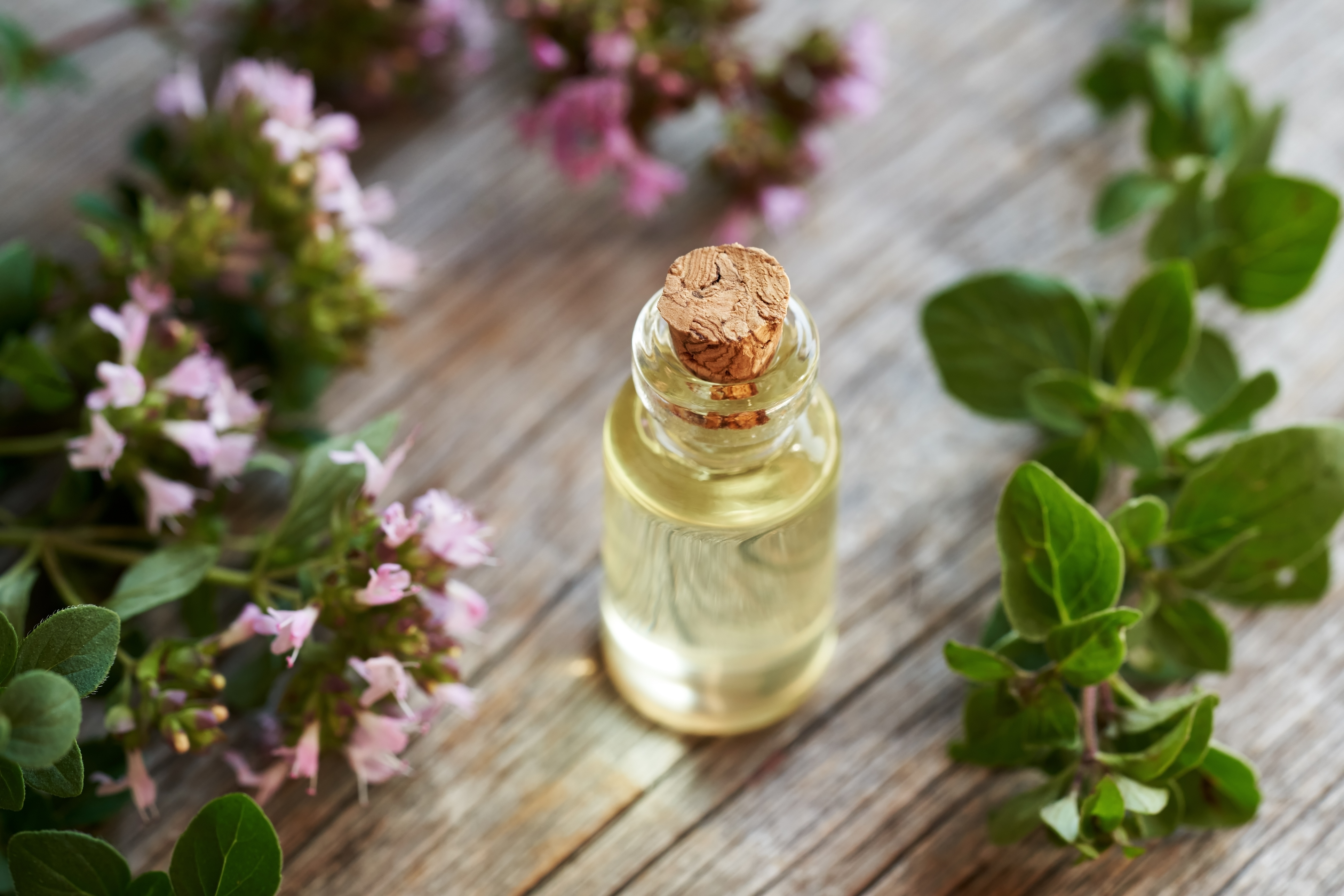 How to Flush Out Excess Estrogen: A Clinician’s Take - 5acac02d 6793 435b a562 e68953adc136