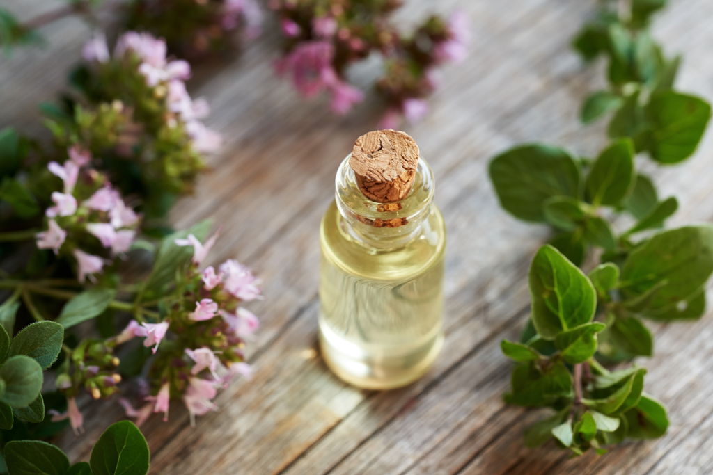 How to Take Oil of Oregano Safely and Effectively