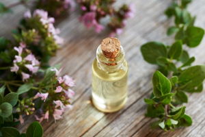 How to Take Oil of Oregano Safely and Effectively