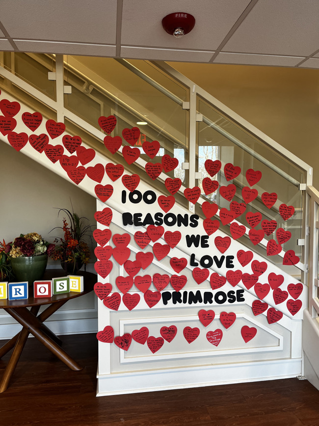 100 reasons to love primrose