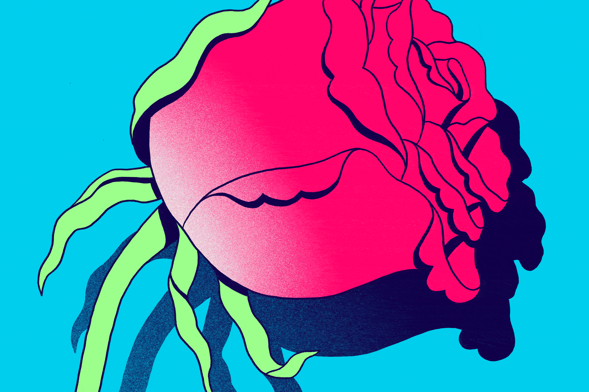 Animation of a withering rose