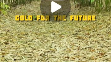 Main Content Image