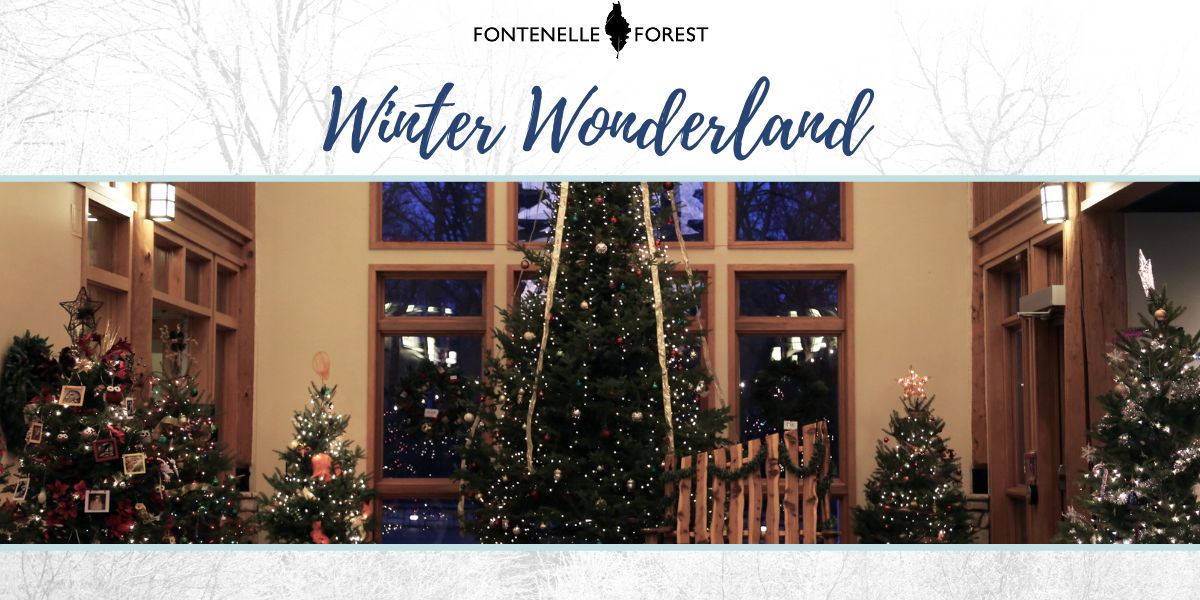 Winter Wonderland at Fontenelle Forest promotional image