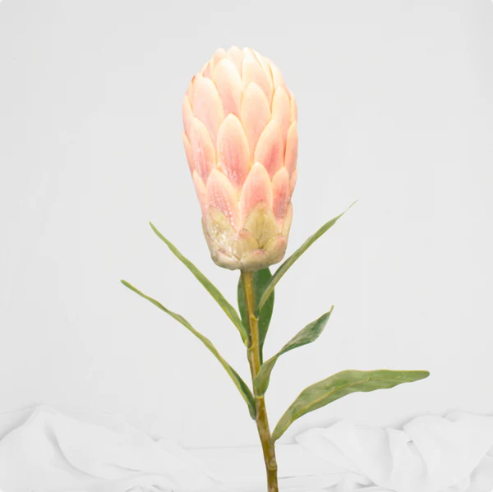 Pink Protea /Pink Ice Stem - Realistic Artificial Flowers - Image 2