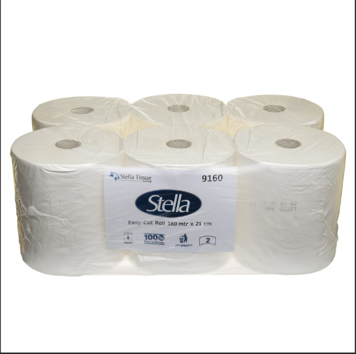 99170 2 Ply MINI Jumbo Roll 170m x 12 Rolls