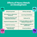 Effects of Heavy Metals on Infant Development