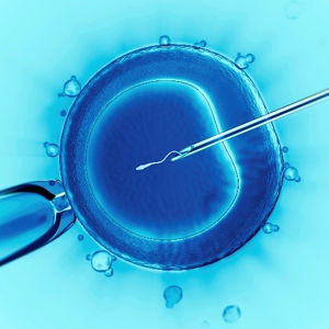 IVF fund <3