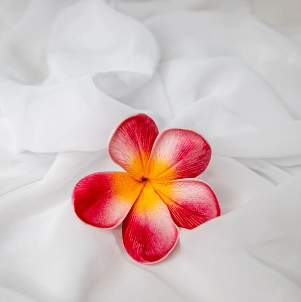Red Orange Frangipani Flowerhead ( 6 Pack ) - Realistic Artificial Flowers