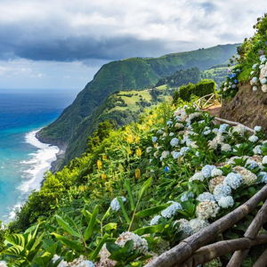 Azores, Portugal, and Paris Honeymoon Fund