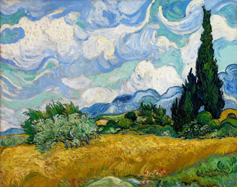 Amsterdam: Van Gogh Museum Guided Tour