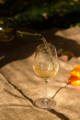 service vin blanc