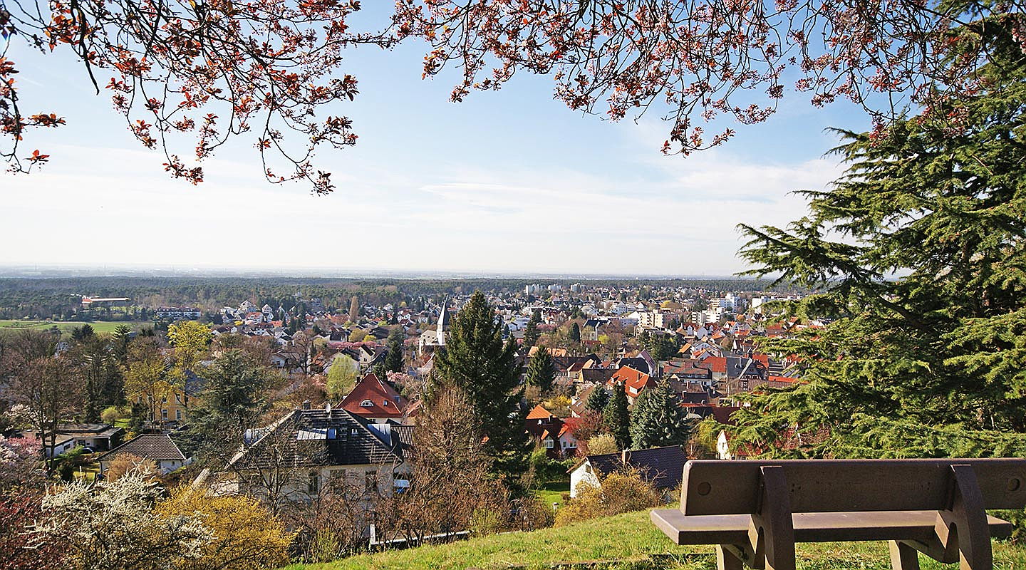  Bensheim
- Werden Sie in unserem Immobilien-Portfolio fündig: Seeheim ist ein hervorragender Standort für den Kauf einer Immobilie.