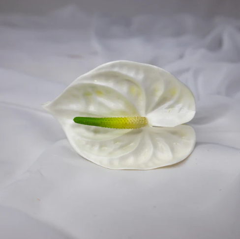 Anthurium Small White - Realistic Artificial Flowers - Image 2