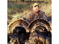 Spring Merriam Turkey Hunt