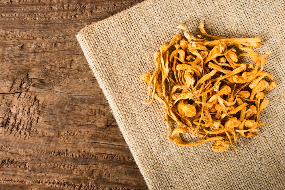 Cordyceps mushrooms on table