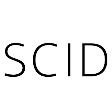 Stephen Collins Interior Design