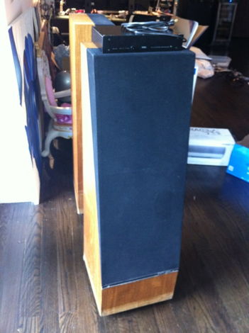 Thiel CS3.5 Speakers with Equalizer - PICK UP ONLY