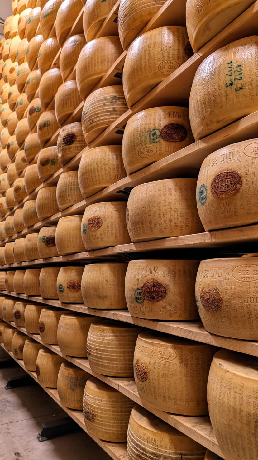 Food & Wine Tours Castelvetro di Modena: Parmesan Cheese Tour & Cooking Class