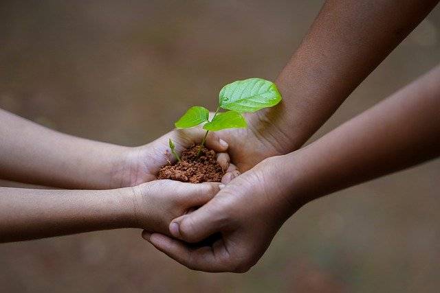 Two children hold a sapling in some soil to illustrate care and love for the planet and environment