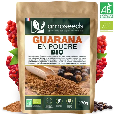Bio Guarana-Pulver