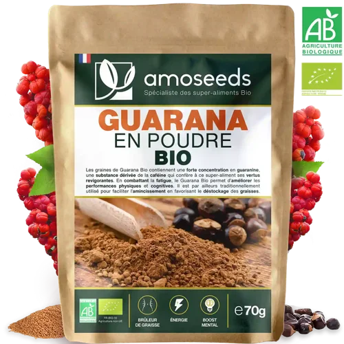Bio Guarana-Pulver