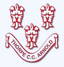 Thorpe Arnold cricket club logo