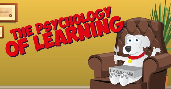 The Psychology of Learning image