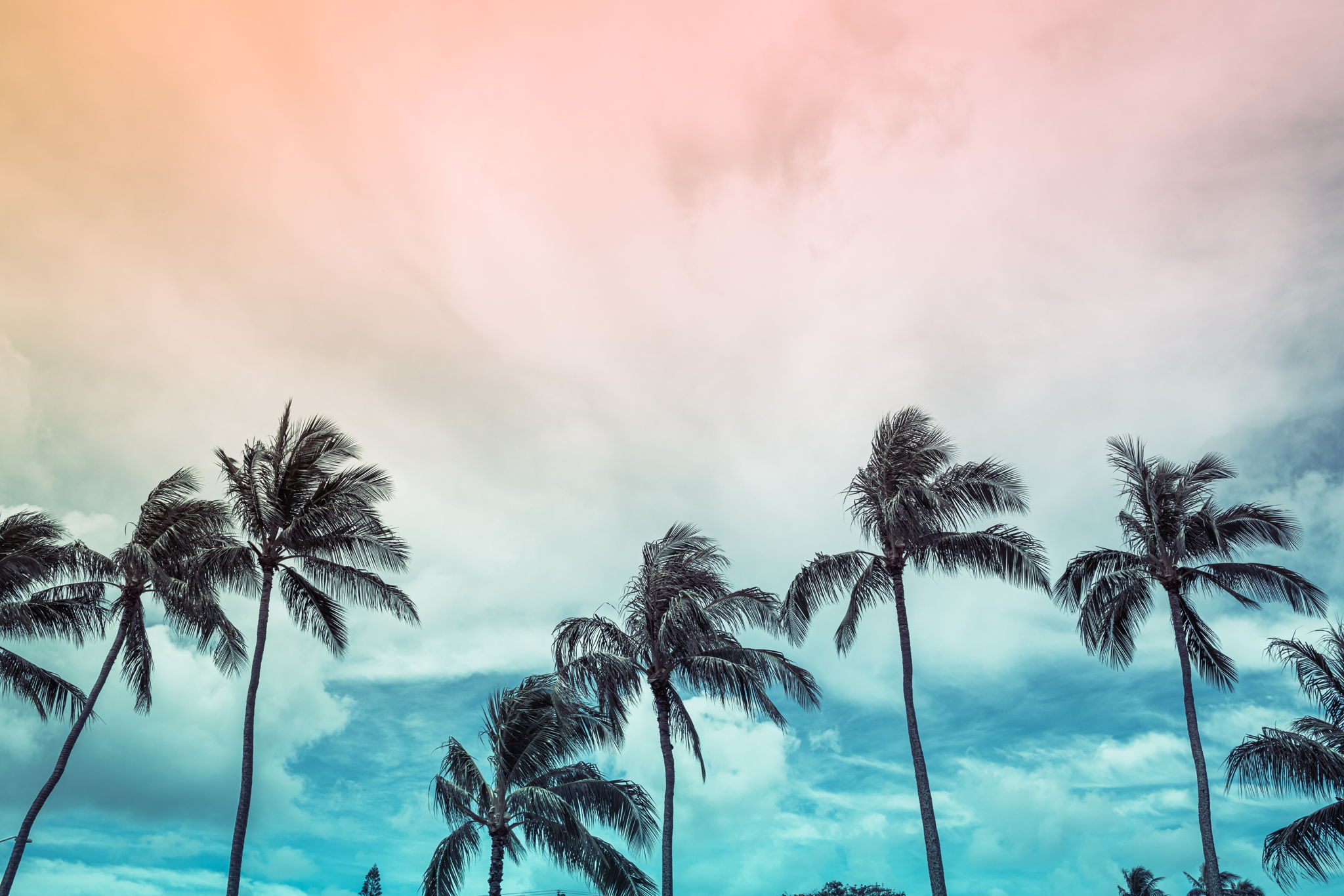 Properties En Venta in Paradise Palms