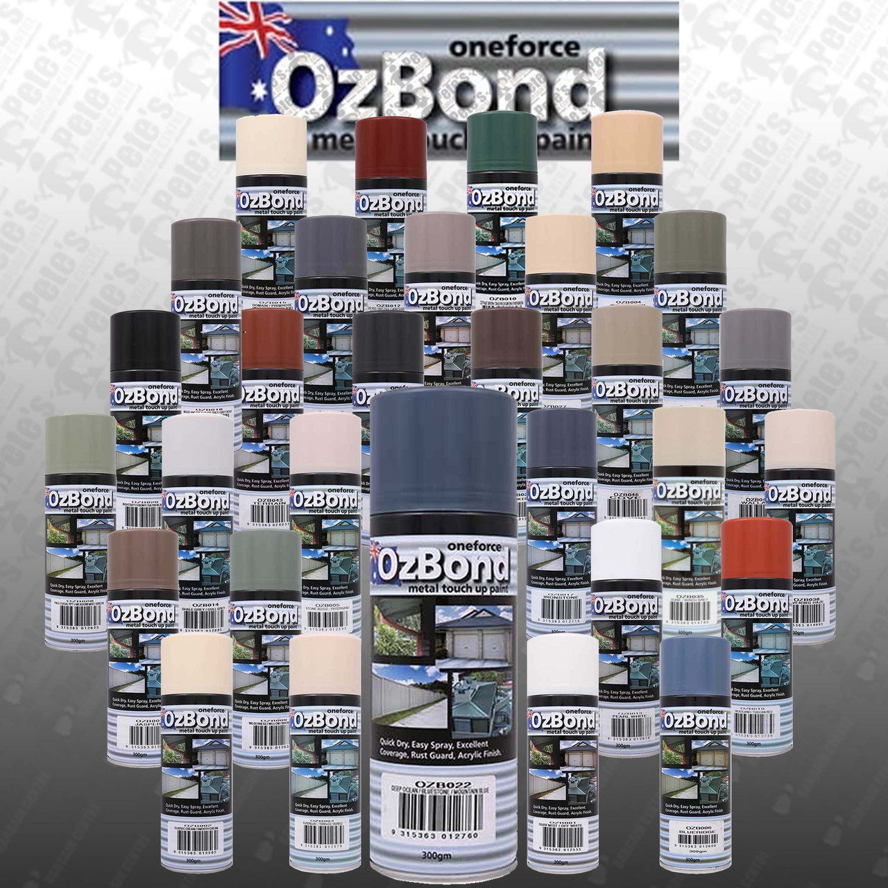 OzBond ColorBond Spray Paint 300g
