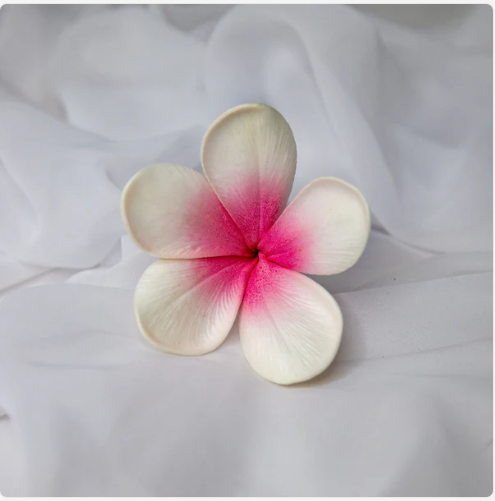 White Pink Frangipani Flowerhead (6 Pack) - Realistic Artificial Flowers - Image 2